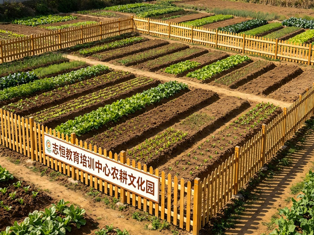 荆门正规孩子叛逆期管教学校推荐指南